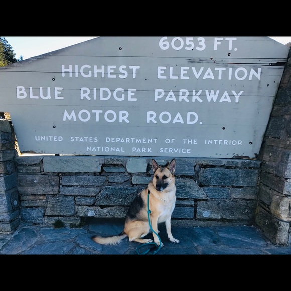 Meet your fellow posher! - Picture 10 of 15